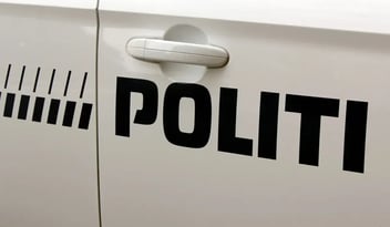Ville du have opdaget, at dokumentet var falsk?