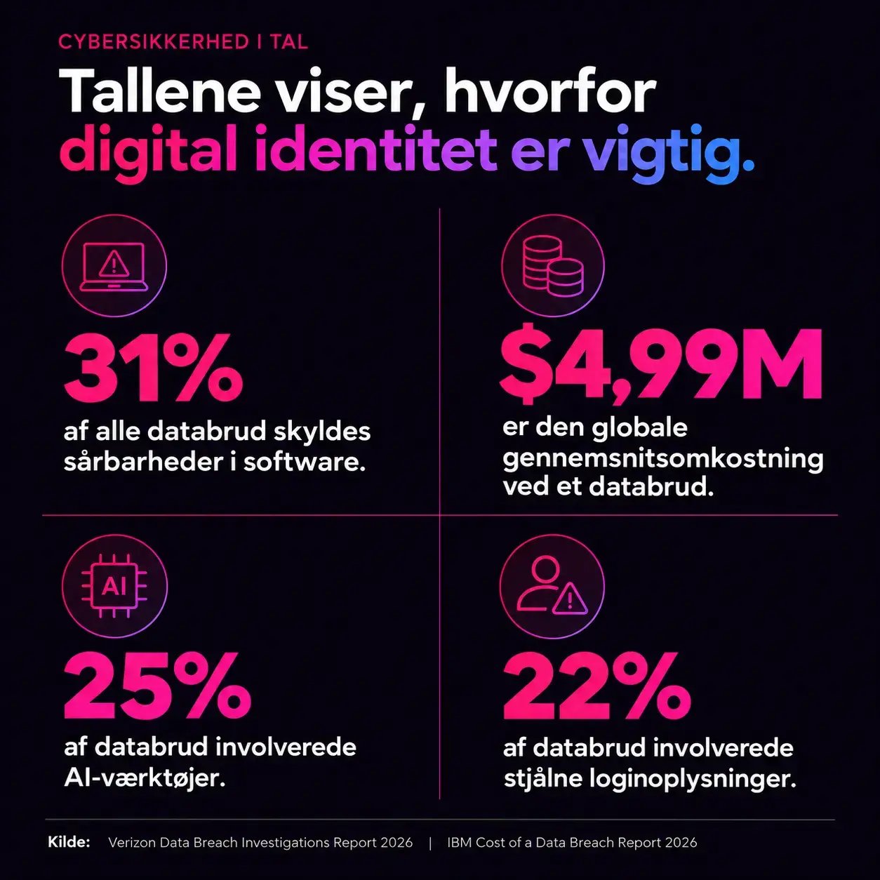 cyber-security-dk