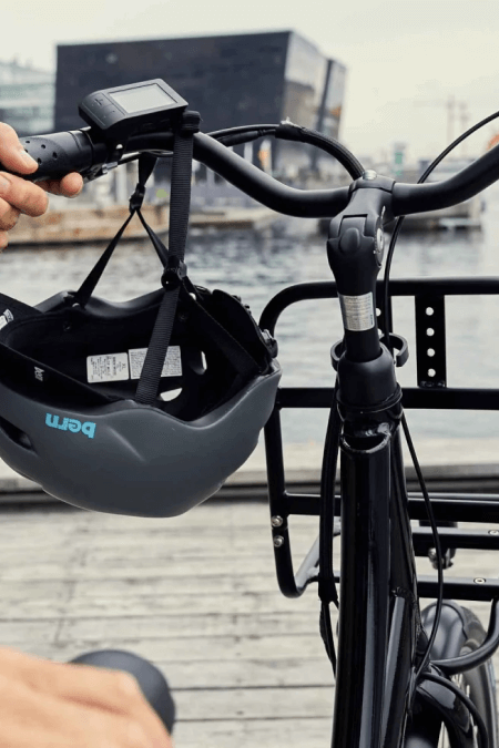 case-bike-rental-service-450x675
