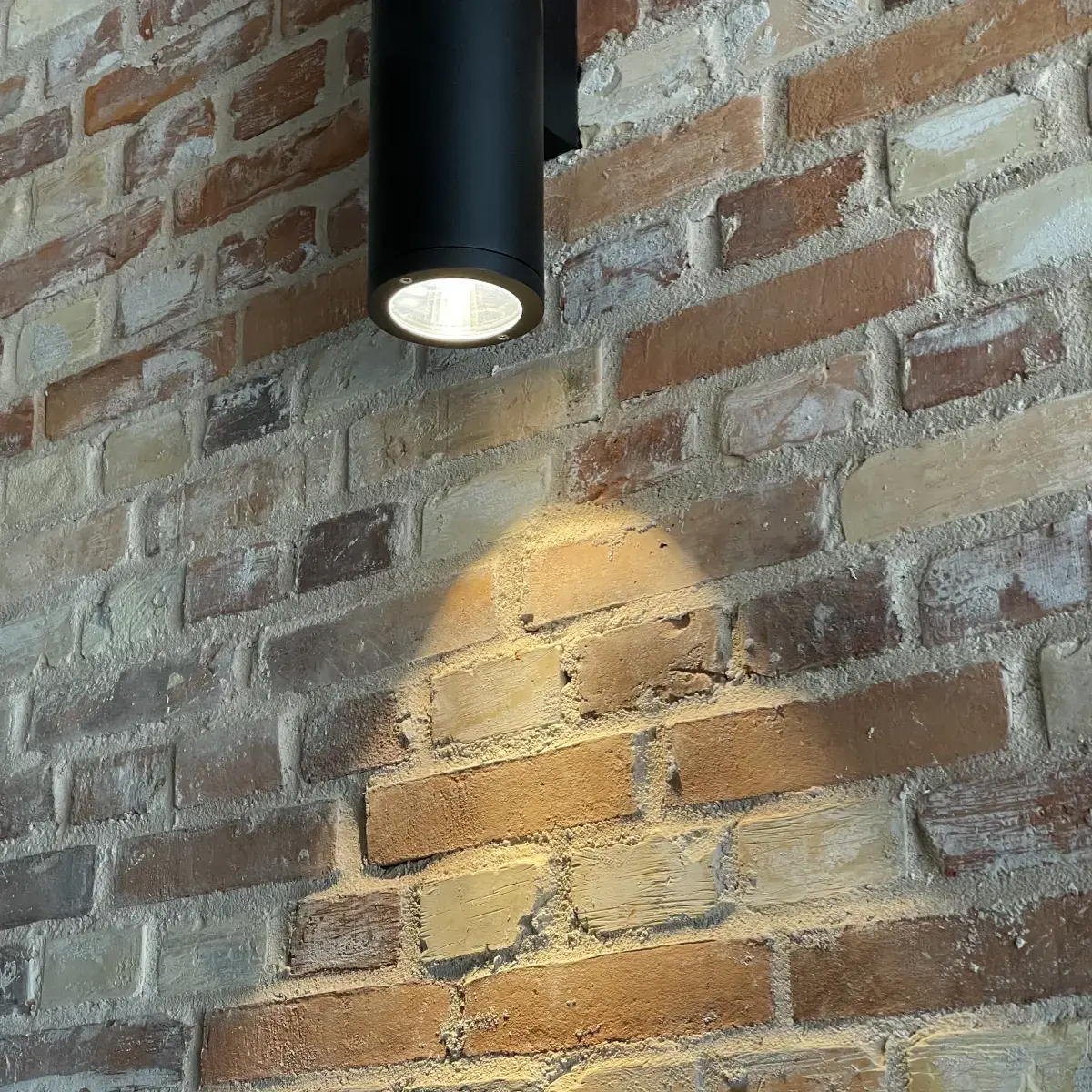 twoday-light-1200x1200-01
